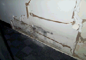 Mold on front side of drywall