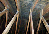 Mold on roof sheathing