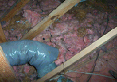 Unsecured flex exhaust line