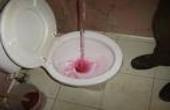 Winterizing a toilet